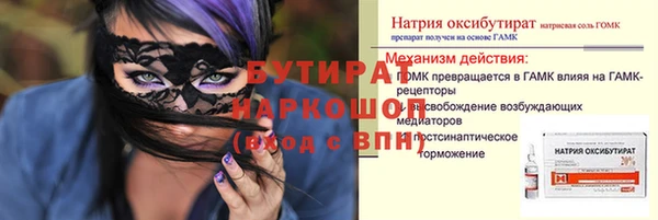 шишки Няндома