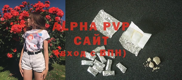 шишки Няндома