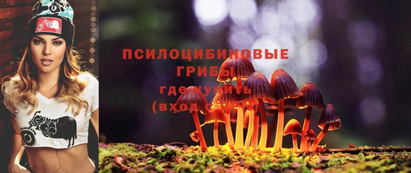 метадон Абаза