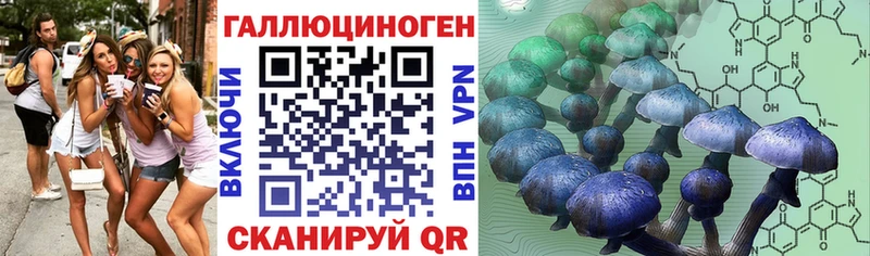 Галлюциногенные грибы Cubensis  как найти закладки  Абакан 